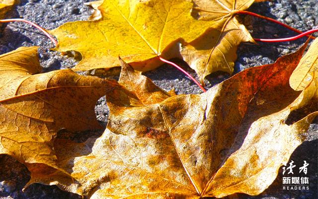 快要坚持不下去了鼓励的话,激励自己坚持下去的经典句子