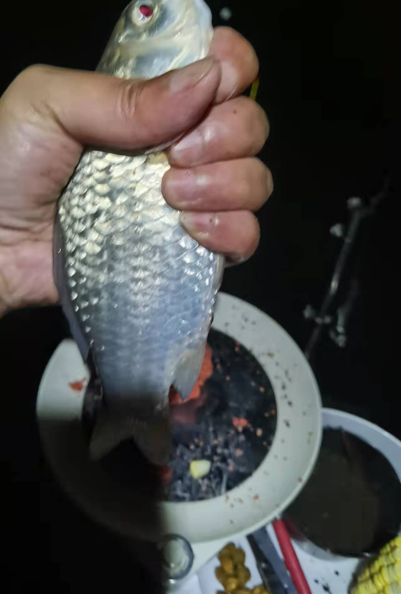 与老方探钓神秘仙境，黄金大鲤鱼靓丽狂野