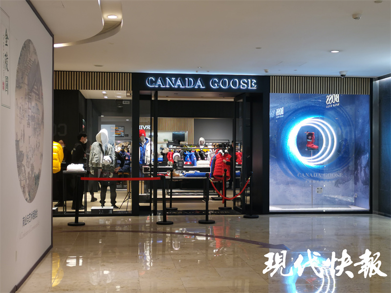 加拿大鹅被约谈完整视频,加拿大鹅回应被约谈