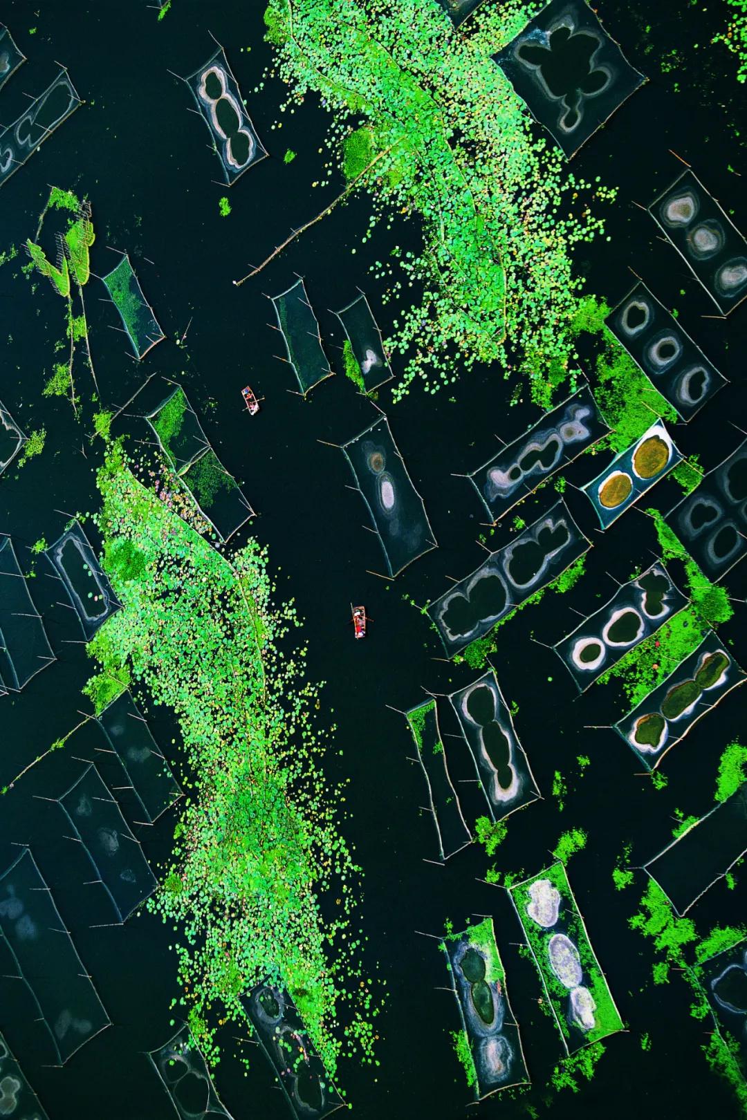 东拜孔子西上梁山,山东济宁曲阜拜孔子