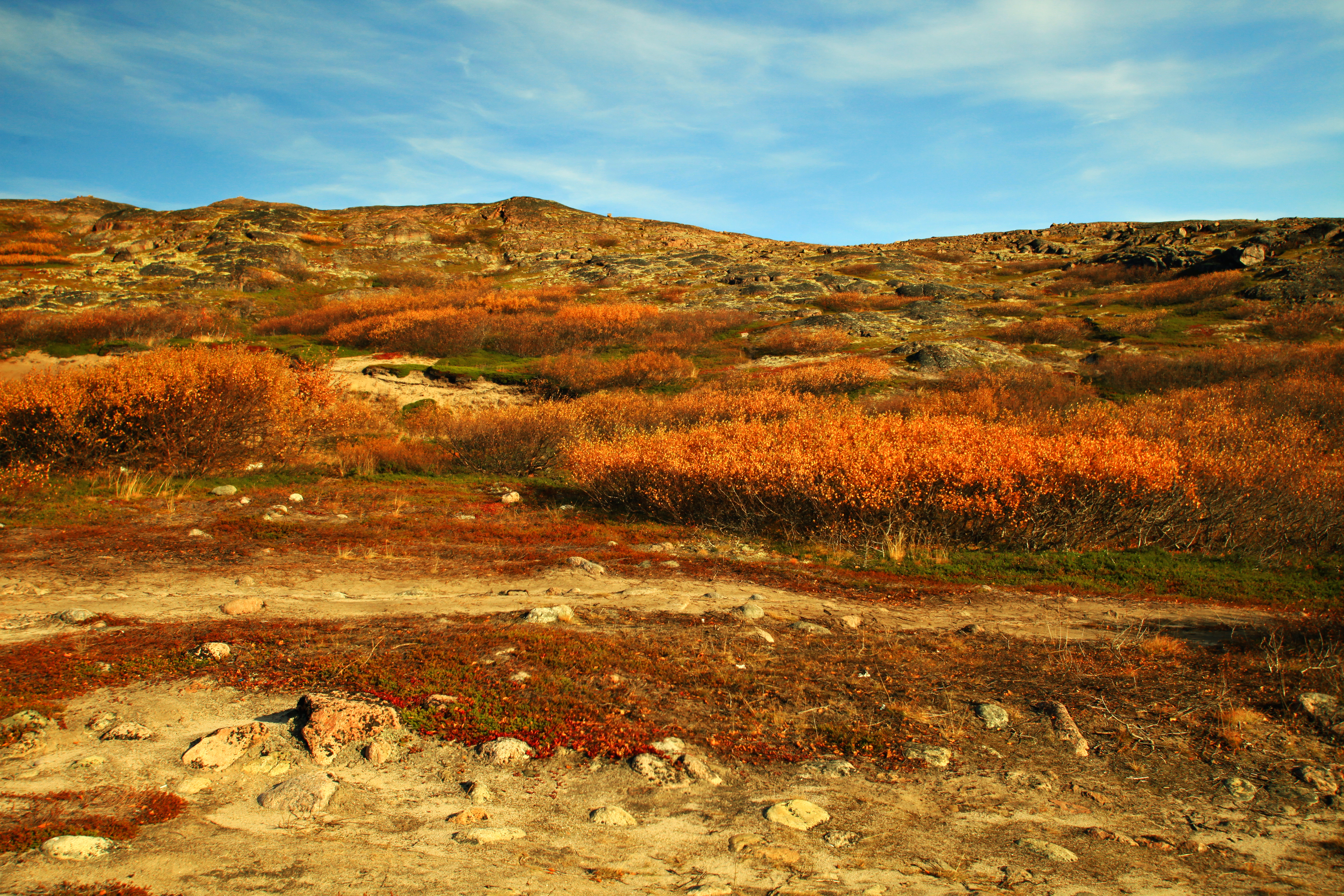 俄罗斯捷里别尔卡北冰洋,俄罗斯叶卡捷琳堡掠影
