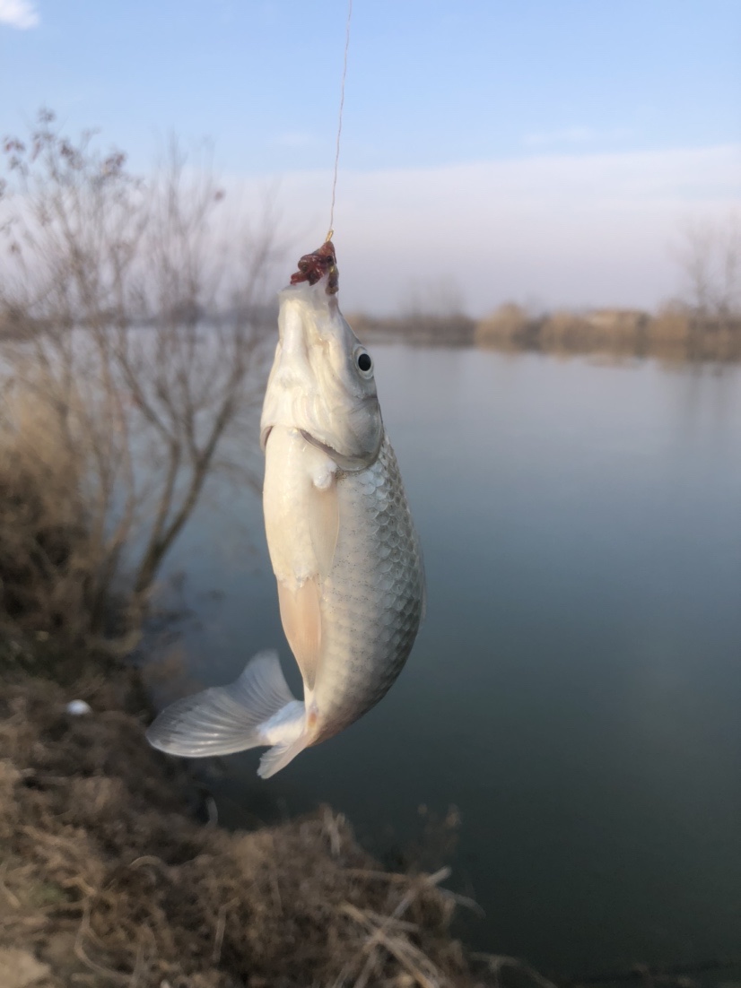 冰钓沉浸式体验,第一次体验冰钓视频