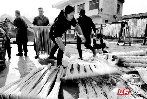 这就是年味纯手工的红薯粉,原汁原味红薯粉