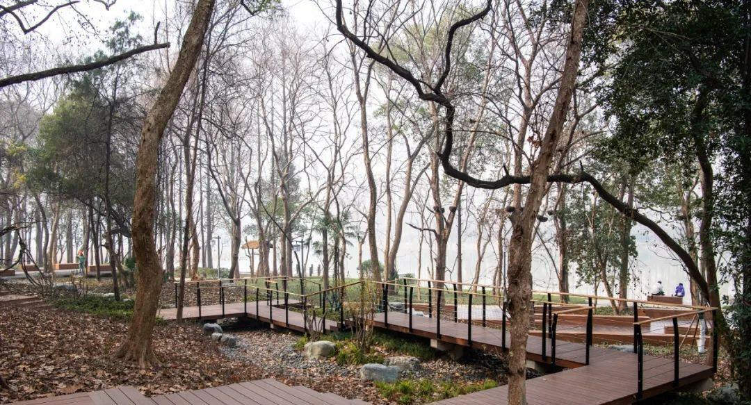 武汉无人驾驶巴士春节开通吗,武汉在哪里体验无人驾驶公交车