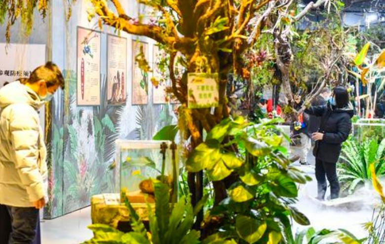 重庆科技馆开馆时间表,春节逛重庆科技馆