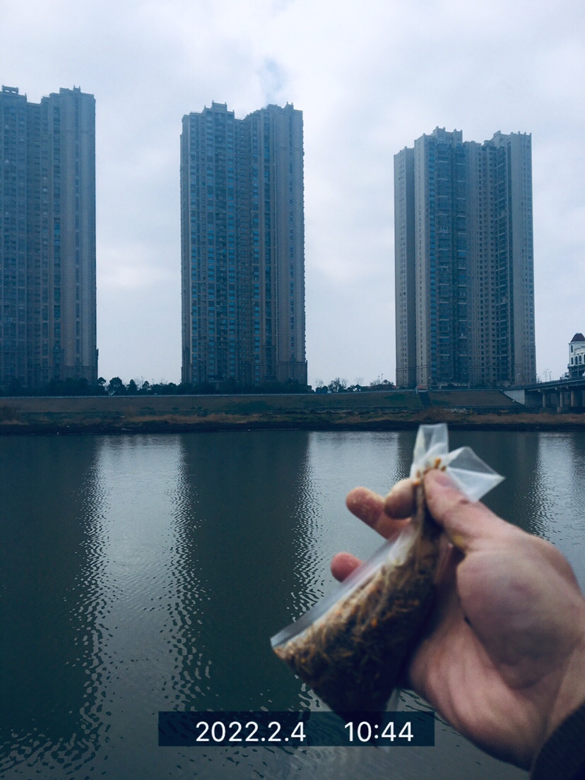 用老婆的菜篮子装新年的第一“金”