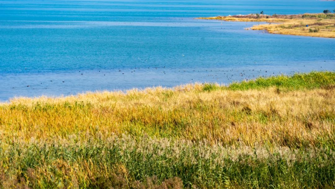 永胜程海网红打卡点,永胜程海网红景点