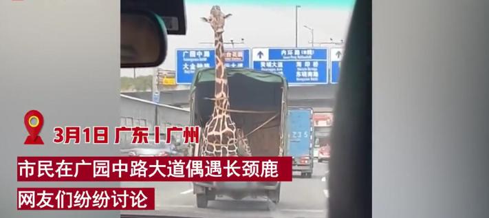 好丽友官方回应涨价原因,好丽友官方回应涨价