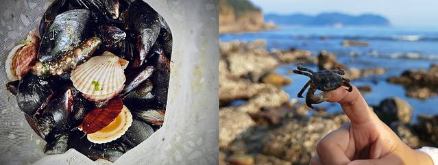 北纬海边游玩攻略,深度海岛游玩攻略