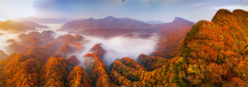 专访全国人大代表、巴中市委书记何平：靠“山”脱贫的革命老区，下一步将如何*局破**？