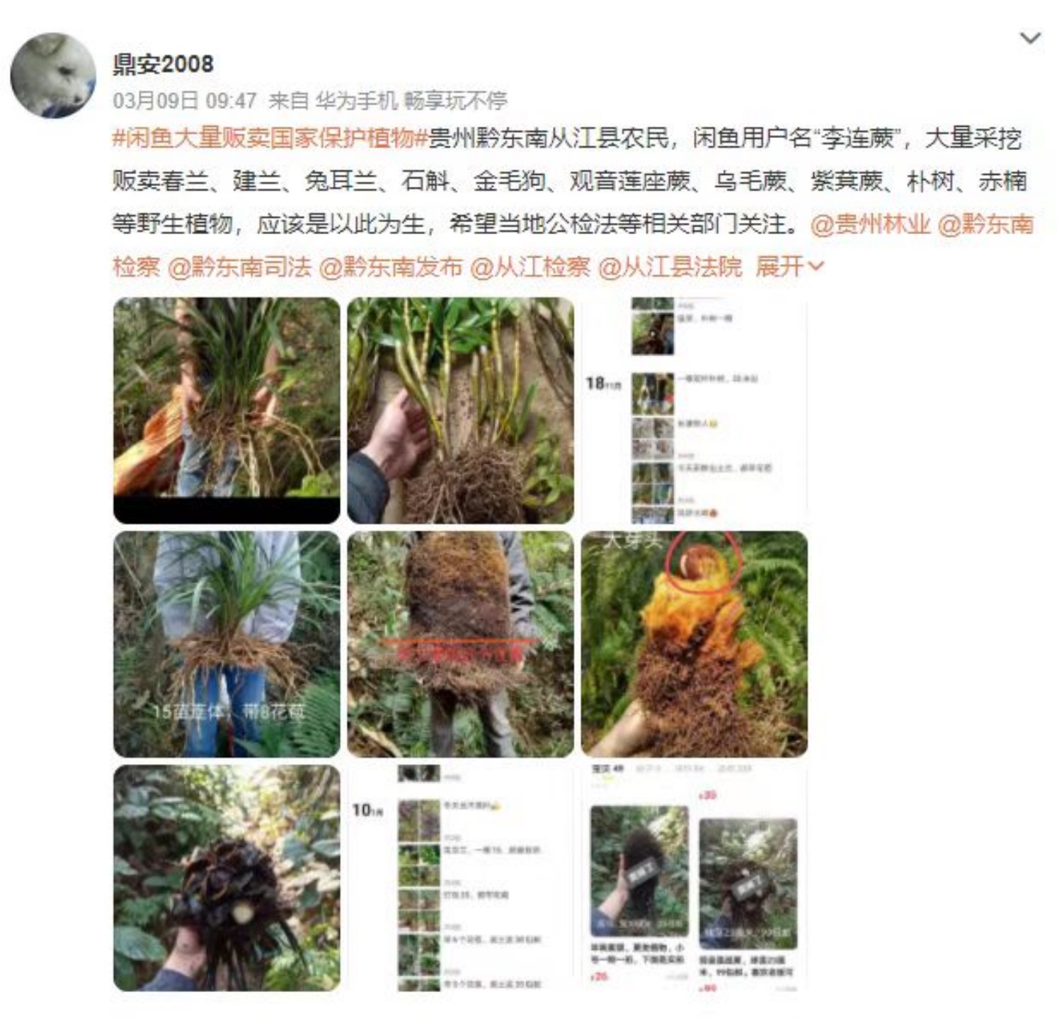 闲鱼商品保护动物违规了怎么处理,闲鱼保护法最新规定