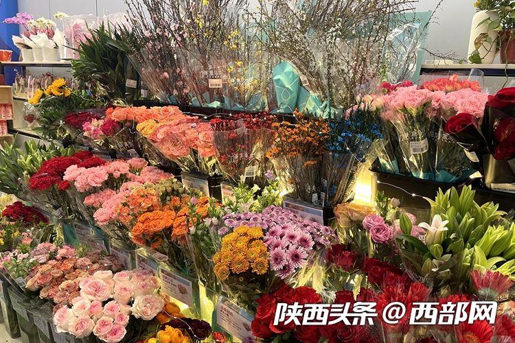 视频丨西安花市春意浓：8元一大把洋牡丹樱花也可“栽”在家