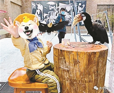 老公园新夜景,老公园特色