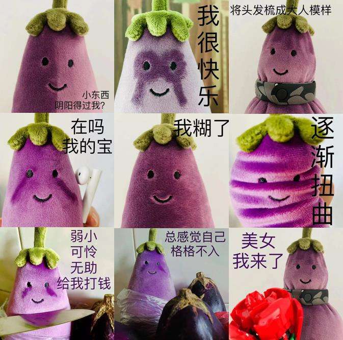 现实中的男子抓住了一只眼镜蛇,男生真的懂jellycat吗