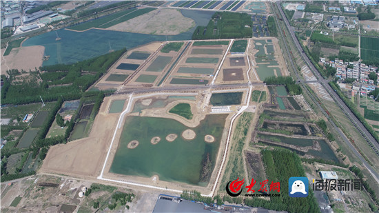 微山湖生态渔业强村富民,生态养殖助推渔业高效发展