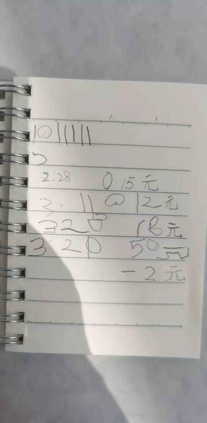 当班级里来了两只鸡……这群孩子不仅孵了蛋，赚了钱，还进行了生命教育