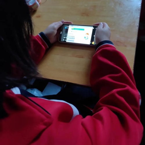 心理健康直播课家校共育,第三期家校共育心理健康专题讲座