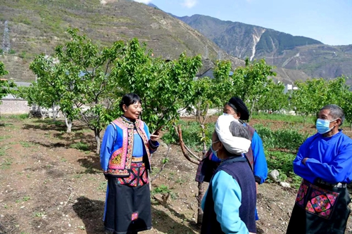 四川产业扶贫乡村振兴,四川全川乡村振兴平台