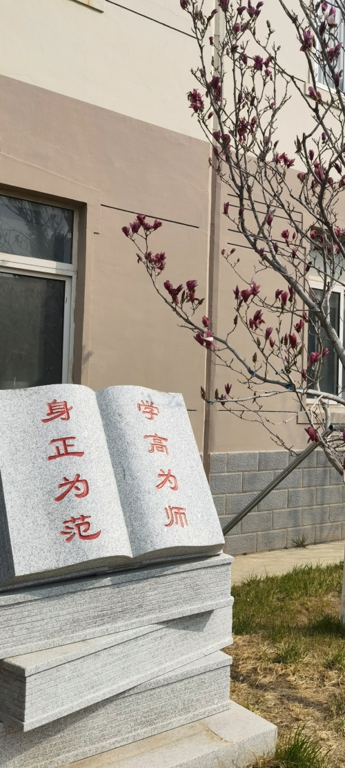 暖心守护，沈阳市第二十四中学教师线上教学展风采