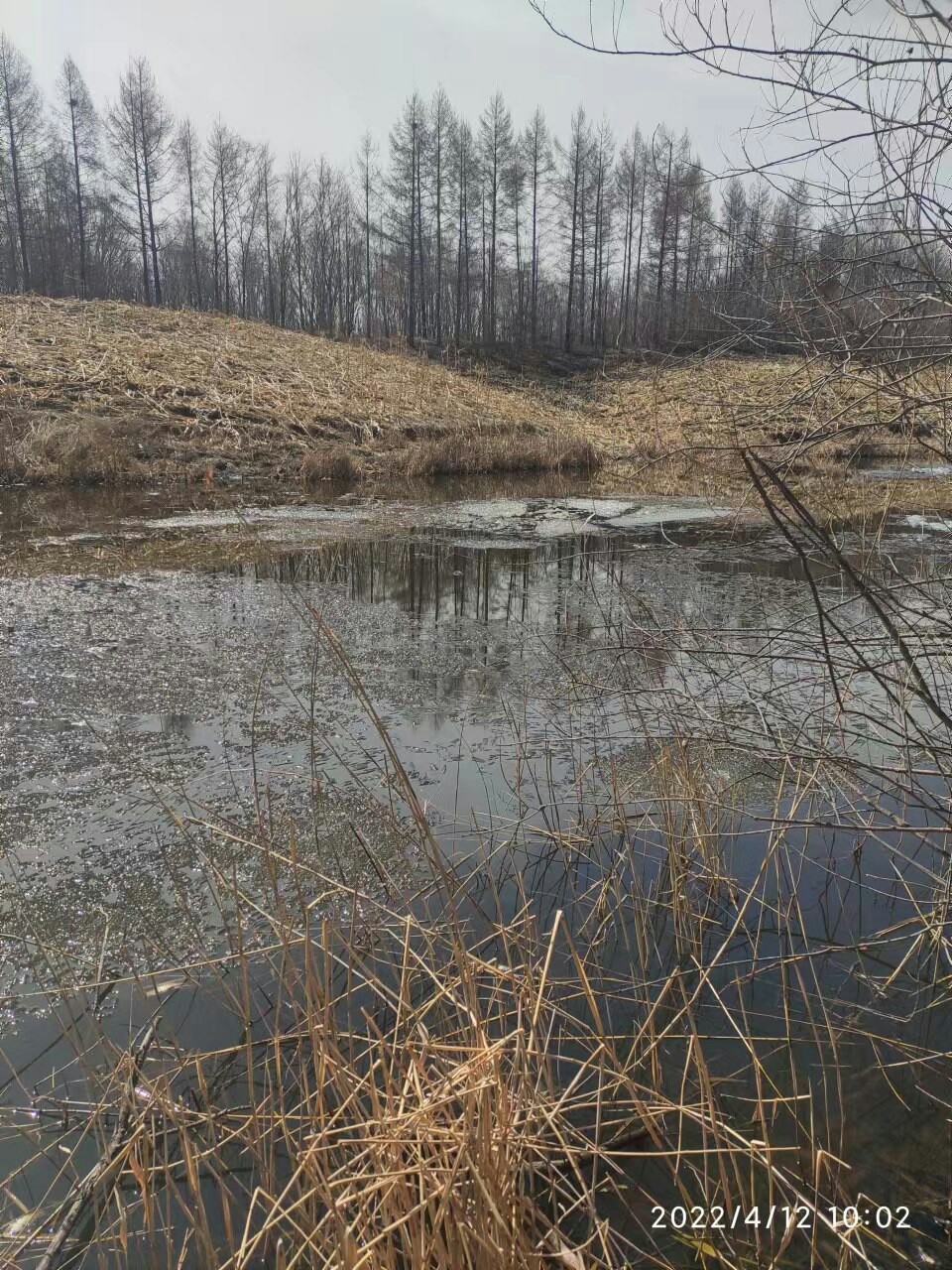 赶个晚潮流完整版,普通野钓罗非超细尾浮漂推荐