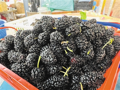 西瓜和桑葚,杨梅桑葚西瓜价格