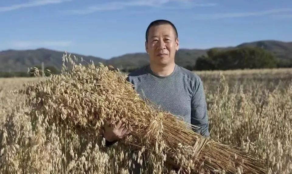 卢文兵用投资者思维创业,卢文兵创业经历