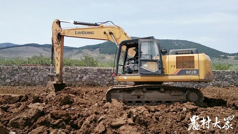 疫情下农民忙采摘,疫情防控期间农业农村工作