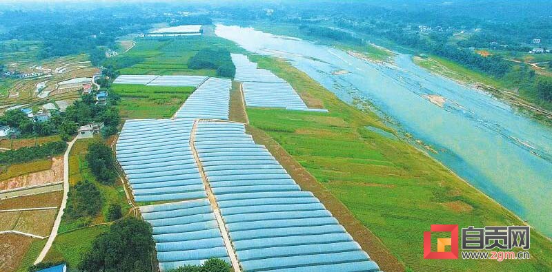 富顺县乡村振兴,下好乡村振兴棋