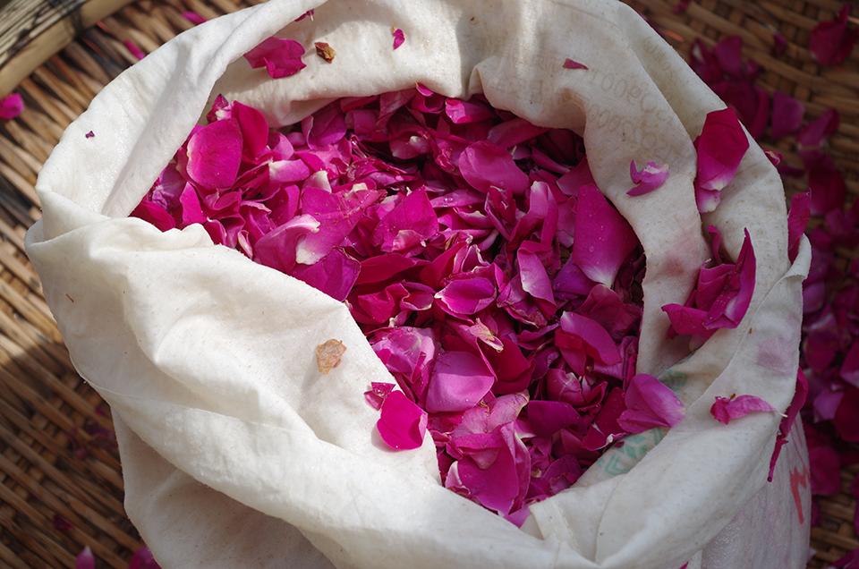 世人爱玫瑰下一句,玫瑰香甜鲜花饼