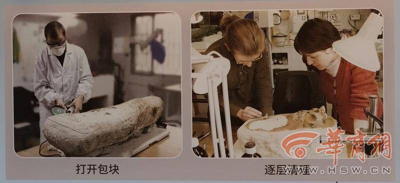 陕西文物探探第14集,陕西文物探探28期