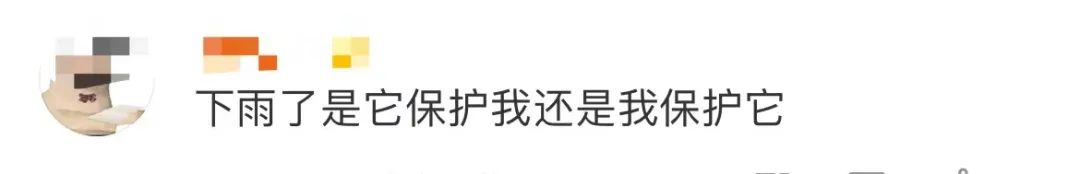 古驰和adidas联名雨伞,adidasgucci联名雨伞在哪里买