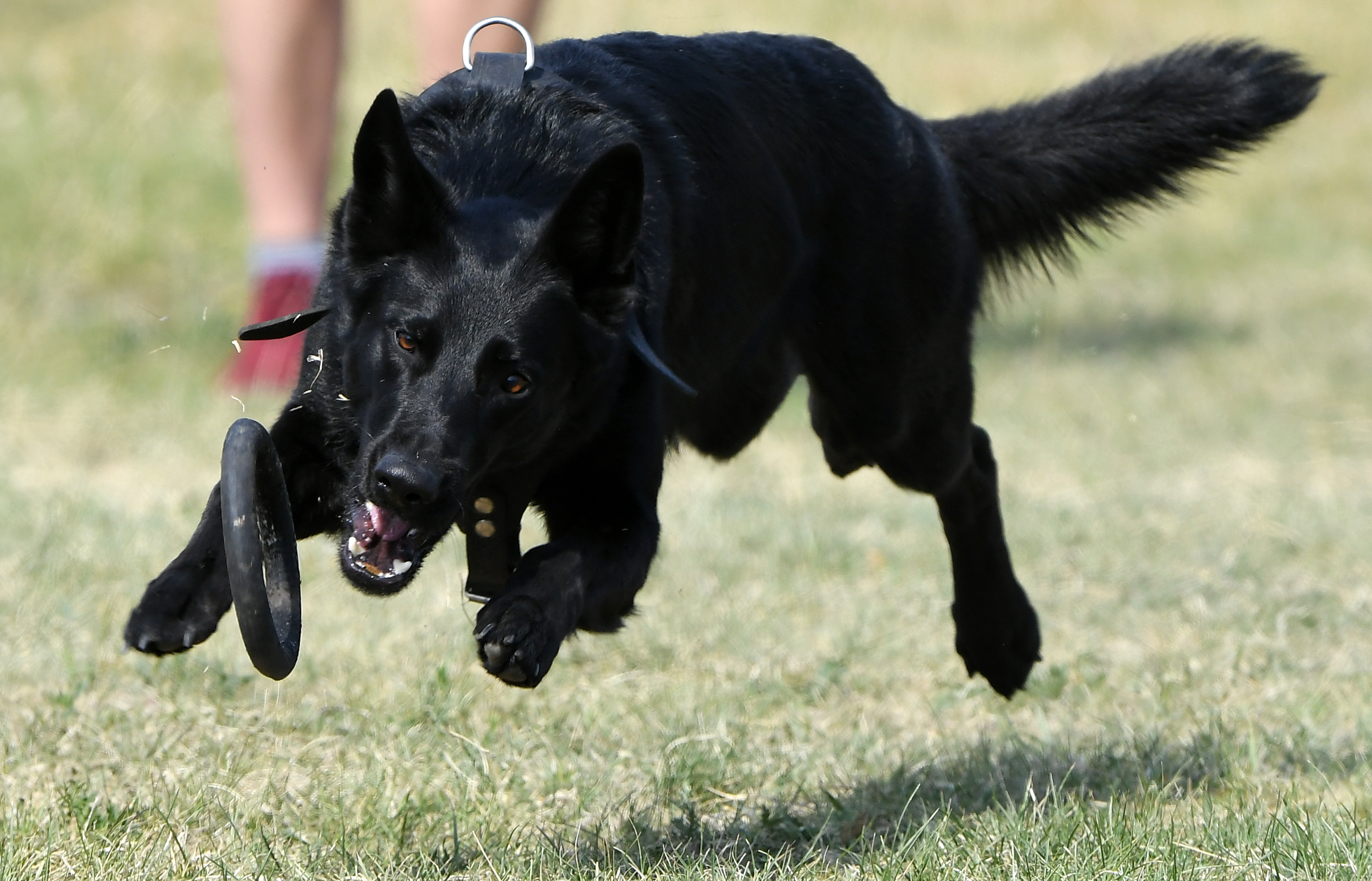 外代二线巴塞尔,外代二线