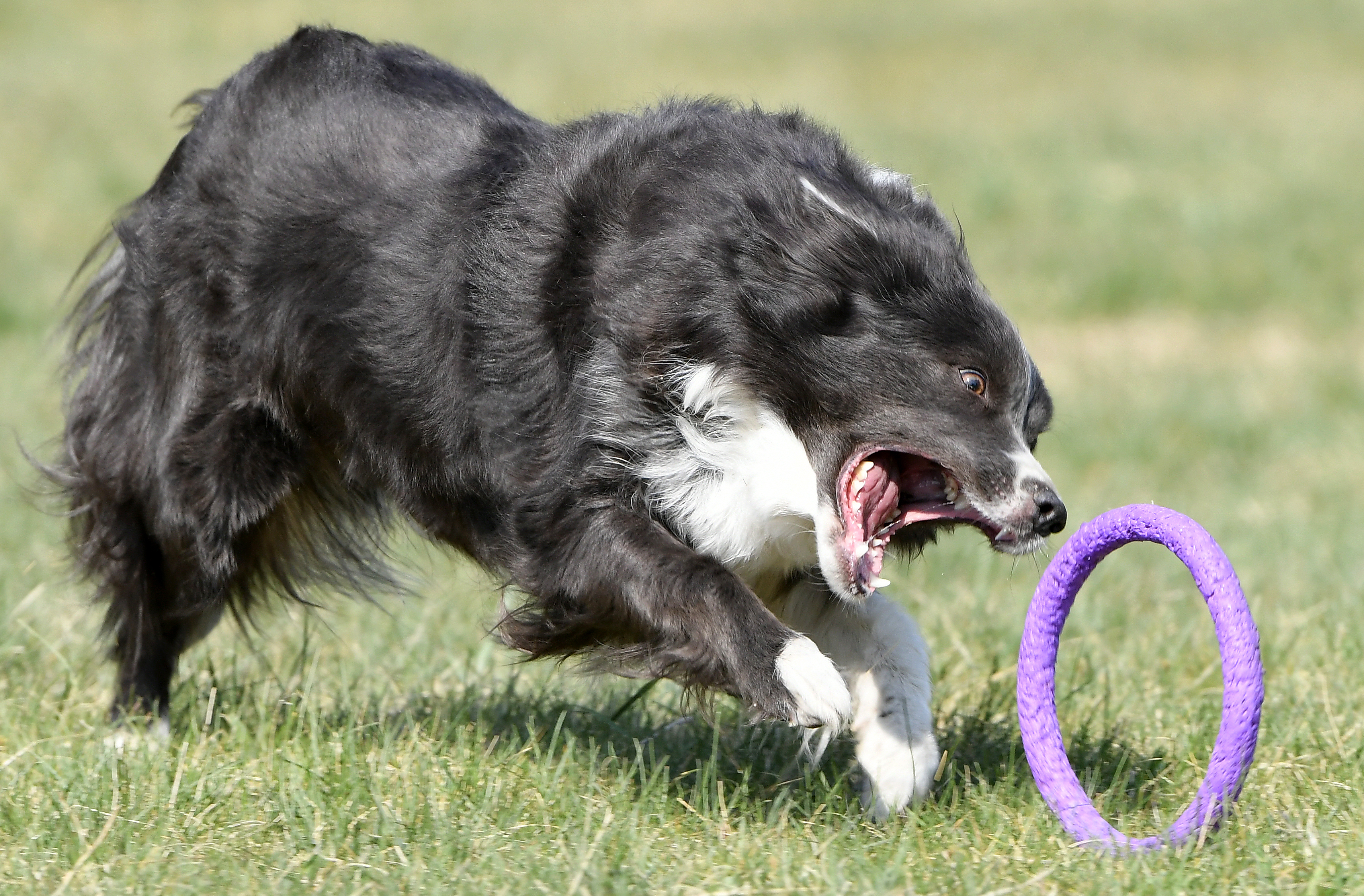 外代二线巴塞尔,外代二线