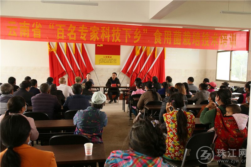 浙江种植食用菌技术培训,农业技术专家进地头