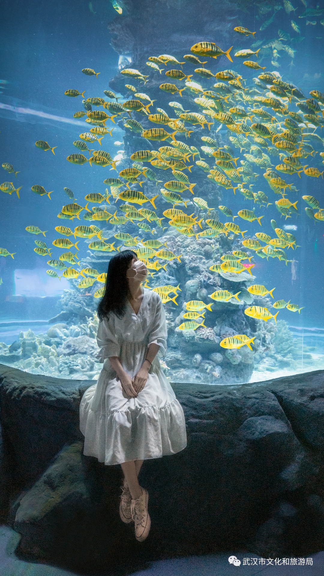 武汉必玩攻略,武汉必玩的地方排行榜