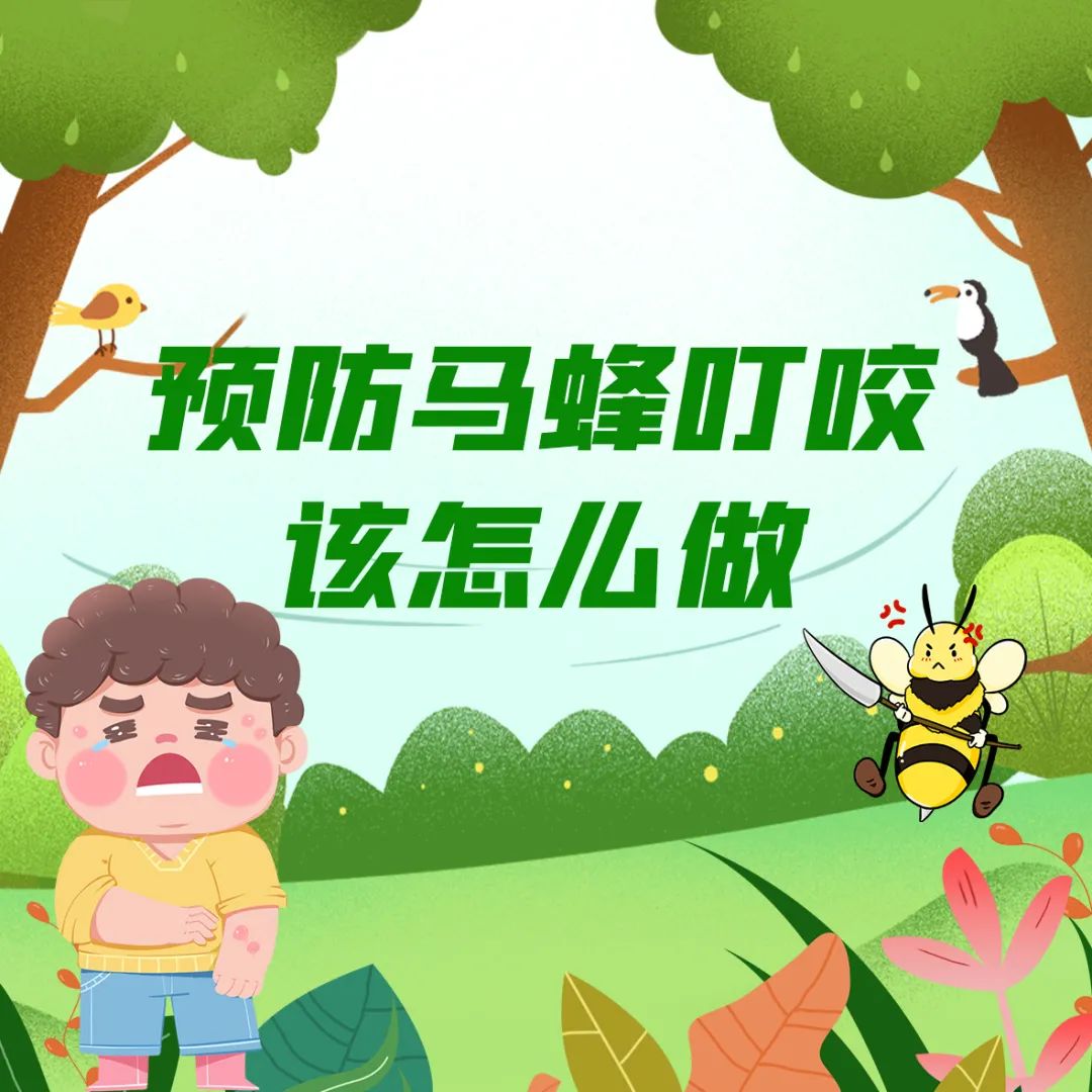 马蜂窝最佳驱蜂方法,马蜂窝的正确驱蜂方法