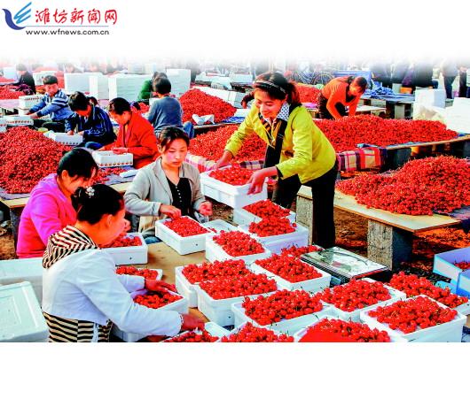 潍坊果然好水果,潍坊果品批发