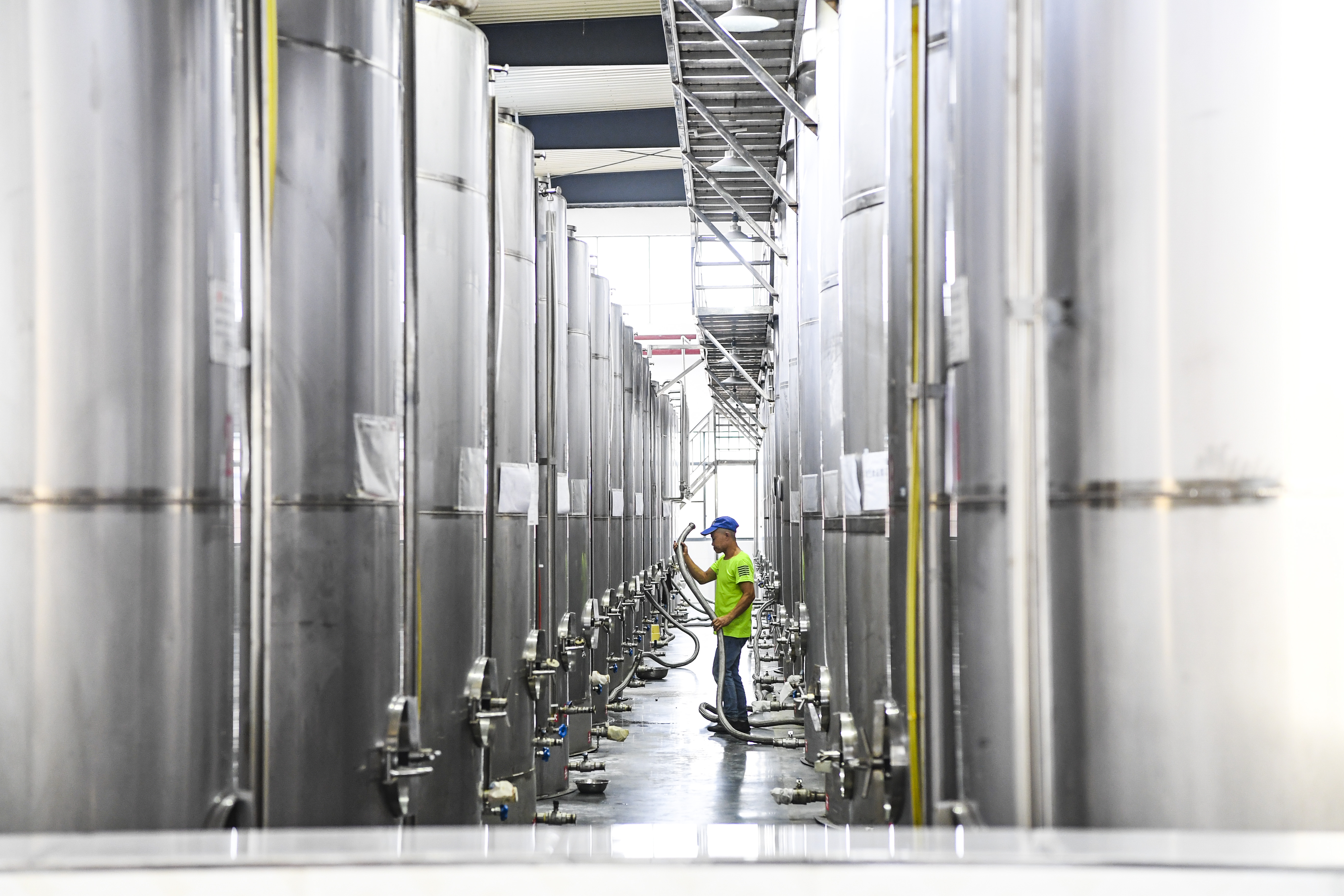 （新华全媒+）“小花椒”种出“大产业”