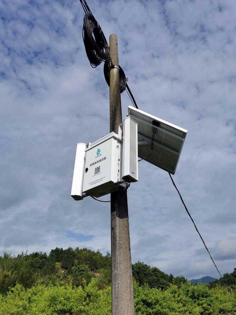 承担这项国家任务,广东猎捕了147头野猪