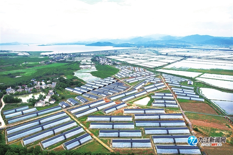 奋进新征程建功新时代·老区新貌|彭泽:红土地唱响幸福歌