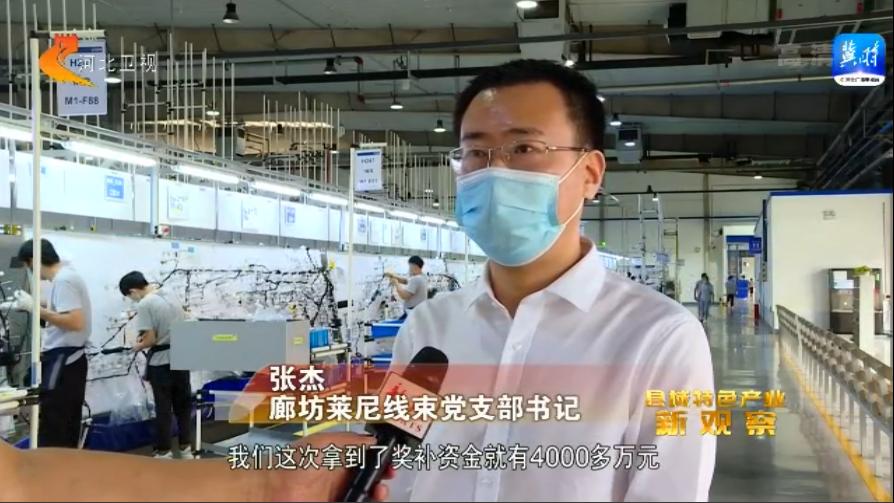 县域特色产业新观察,县域经济发展新兴产业