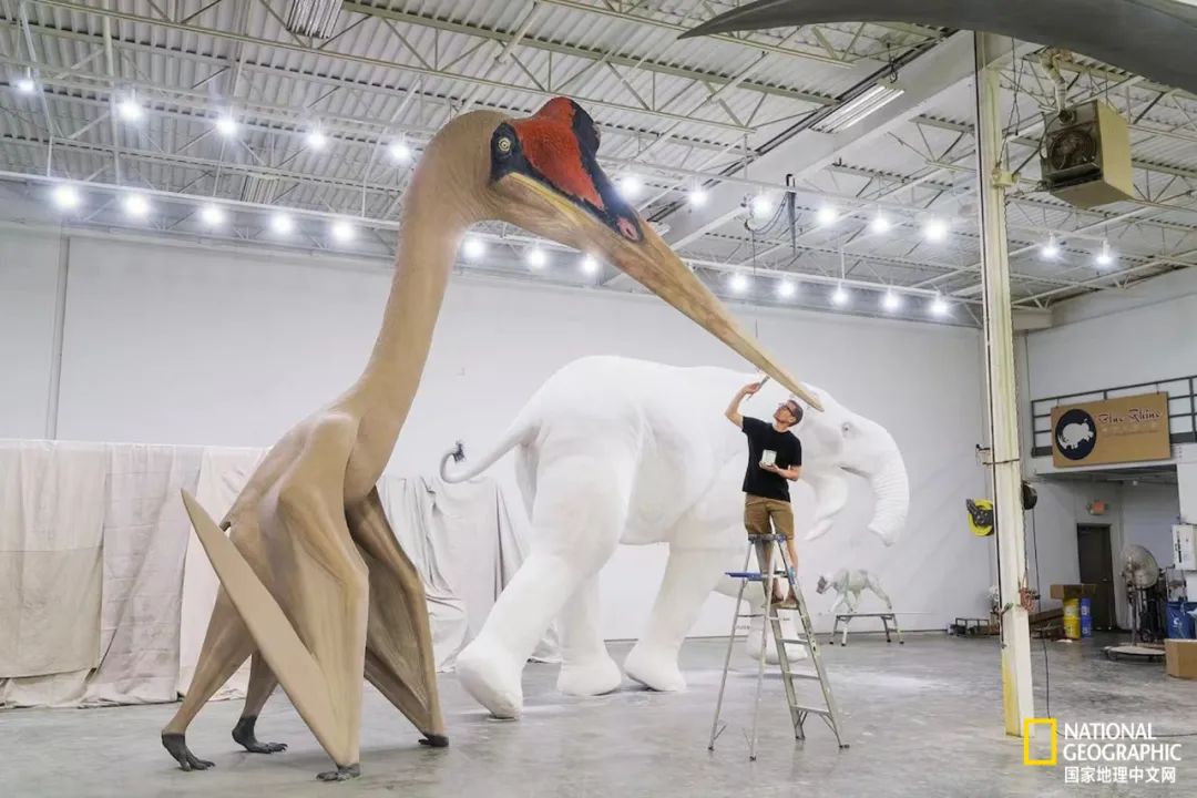 电影诞生以来最伟大的30部作品,最伟大的作品详解