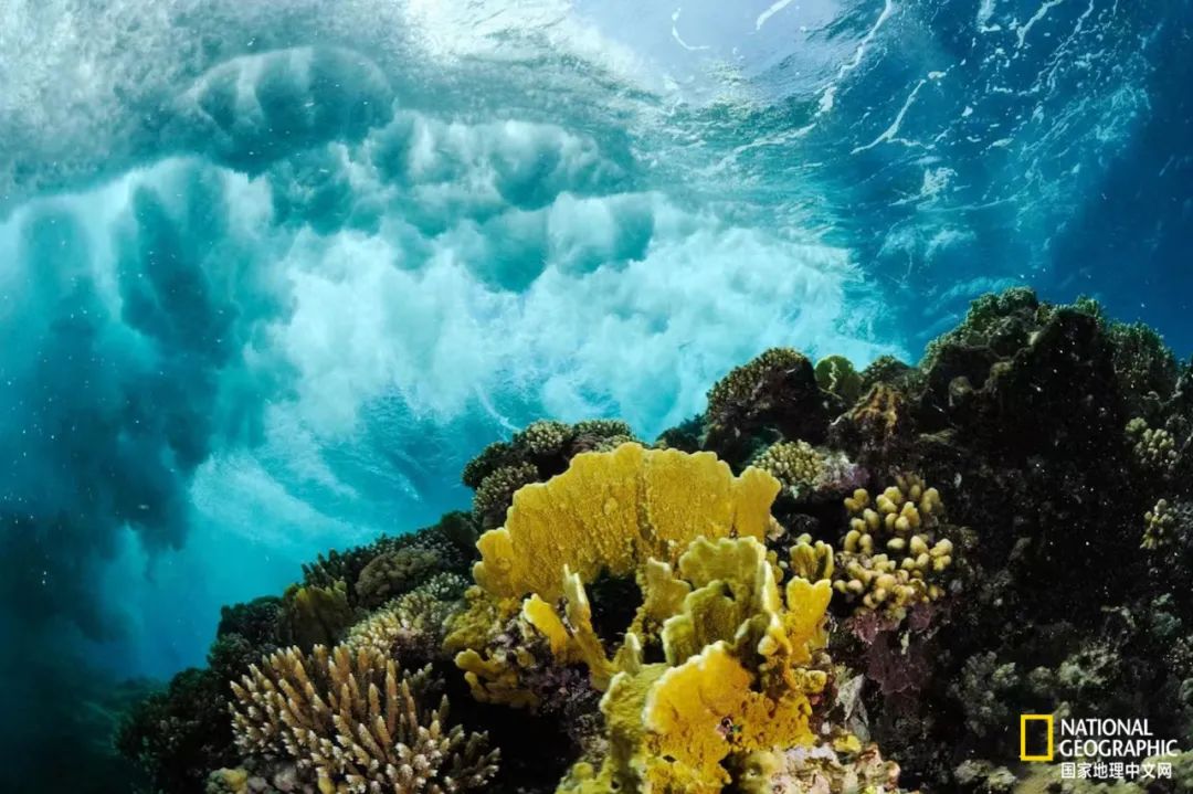 100张最伟大的体育照片,100张有史以来最伟大的照片