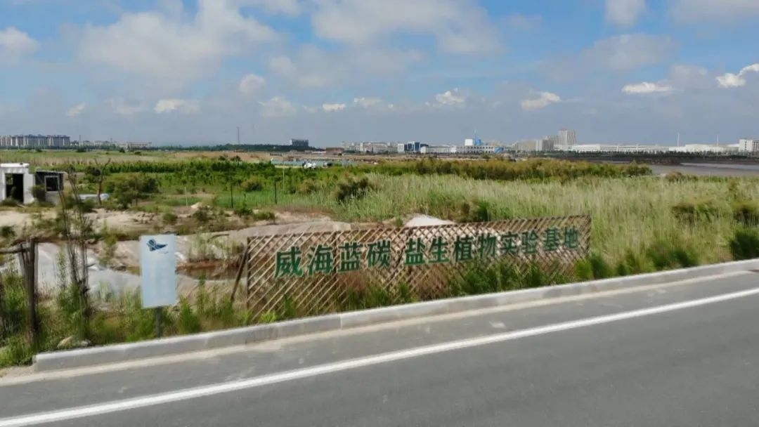 威海国际海洋活力区,威海海洋科技城最新规划