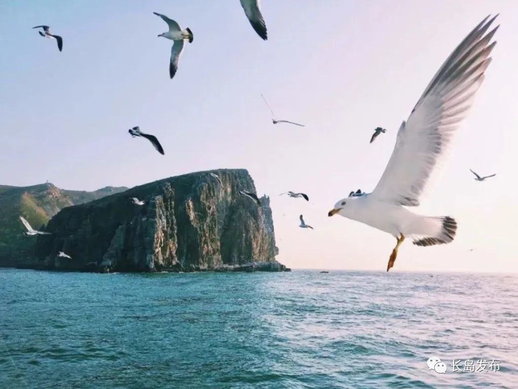 关于长岛攻略,长岛两天一夜文字攻略