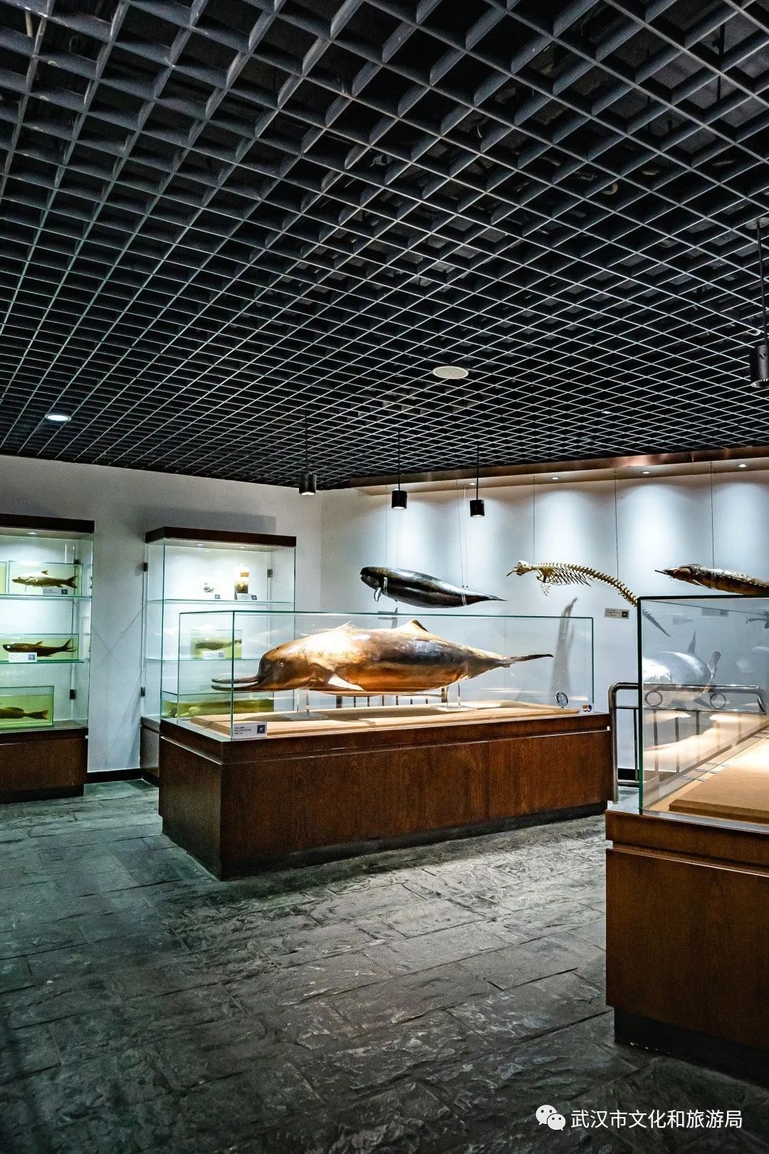 你凭什么叫“汉宝”？