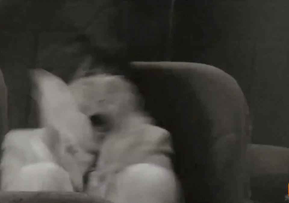 橘子晚报/偶遇朴叙俊和美女逛街；马斯克父亲与继女生二胎；