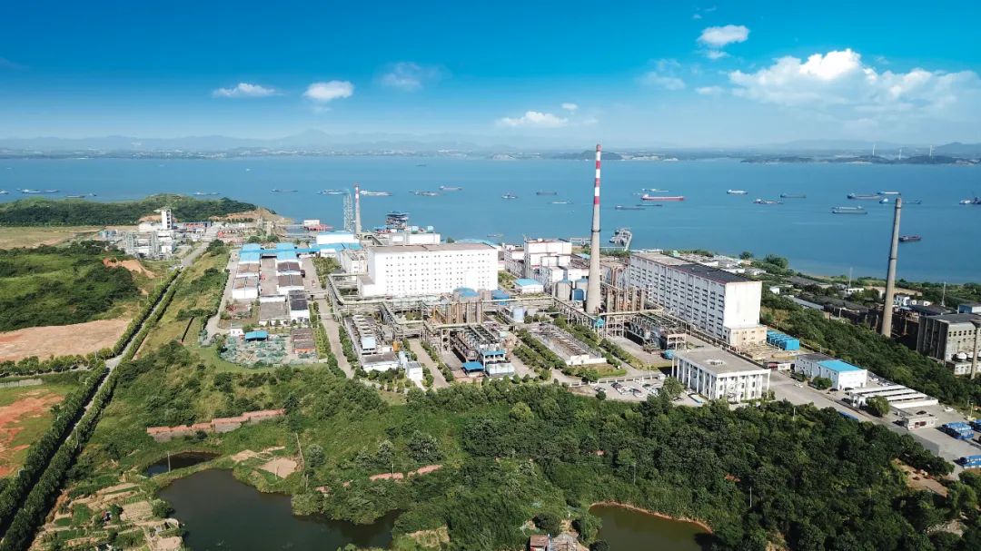 从0到1，“赣”出奇迹——赛得利20周年巡礼