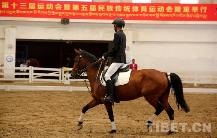 藏马运动会,藏北赛马节比赛视频