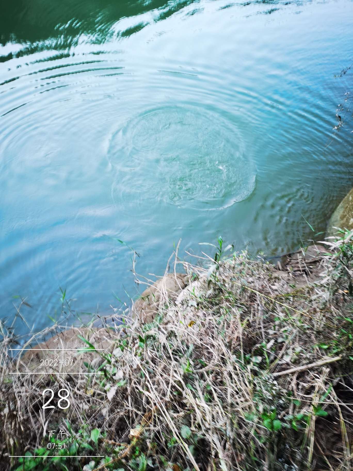 「七月鱼获」骗最憨的巨草！上最憨的洋当